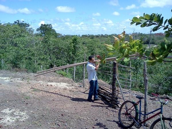 Sem água, saneamento básico e moradia digna, família viveu na zona urbana de Batalha por 28 anos, esquecida das autoridades. - Imagem 15