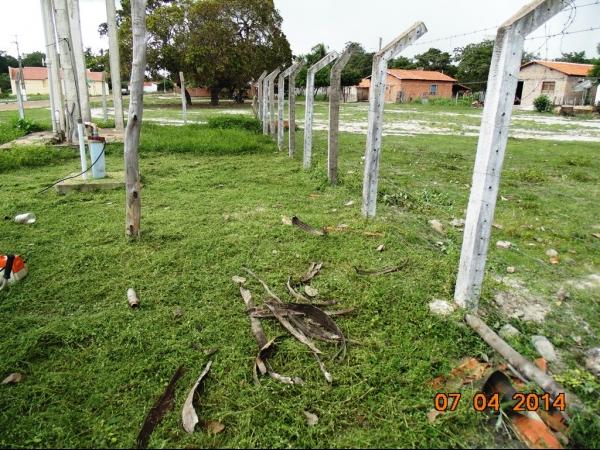 Prefeito Realiza mutirão de limpeza nas principais via de Boa Hora - Imagem 25