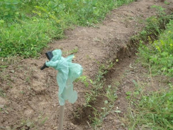 Sem água, saneamento básico e moradia digna, família viveu na zona urbana de Batalha por 28 anos, esquecida das autoridades. - Imagem 8