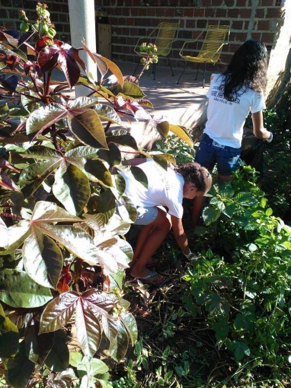 Secretaria Municipal de Saúde de São Félix-PI realizou mutirão de conscientização contra a dengue - Imagem 10