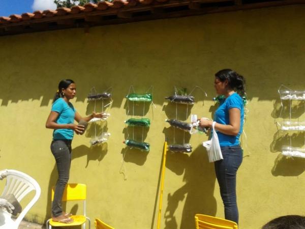 Escola municipal da zona rural desenvolve projeto de Sustentabilidade - Imagem 8