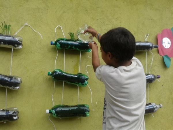 Escola municipal da zona rural desenvolve projeto de Sustentabilidade - Imagem 4