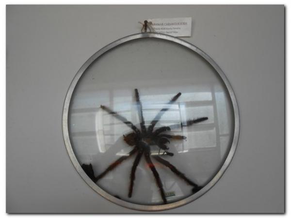 7ª Artes no Museu, dentro da 12ª Semana Nacional de Museus - Imagem 20