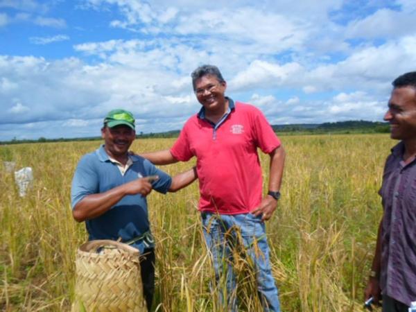 Lavradores comemoram sucesso na produção de arroz em Amarante - Imagem 17