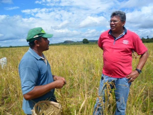 Lavradores comemoram sucesso na produção de arroz em Amarante - Imagem 23