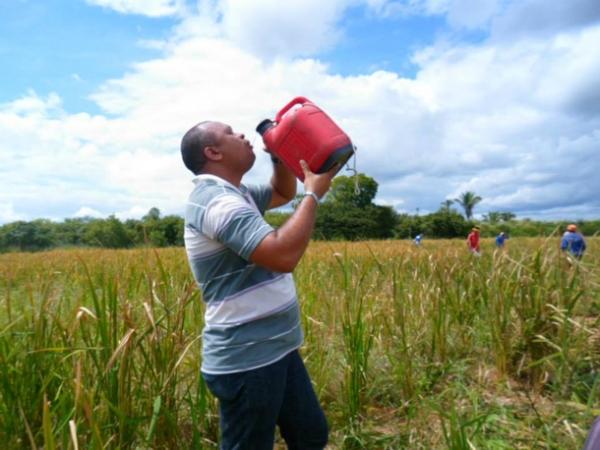Lavradores comemoram sucesso na produção de arroz em Amarante - Imagem 12