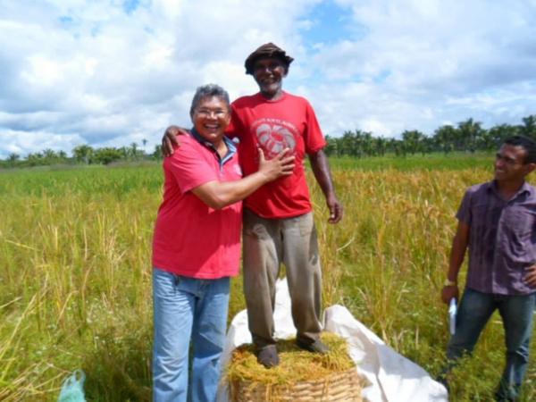Lavradores comemoram sucesso na produção de arroz em Amarante - Imagem 7