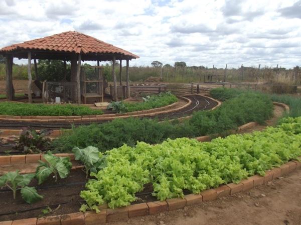 Training do SEBRAE visitam Projeto PAIS em Santa Rosa do Piauí - Imagem 8