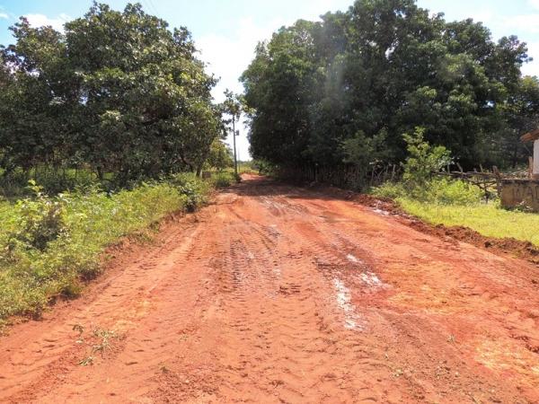 Prefeitura reforma estrada da Lagoa do Sucuruju - Imagem 4