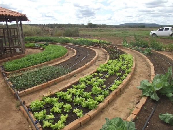 Training do SEBRAE visitam Projeto PAIS em Santa Rosa do Piauí - Imagem 9