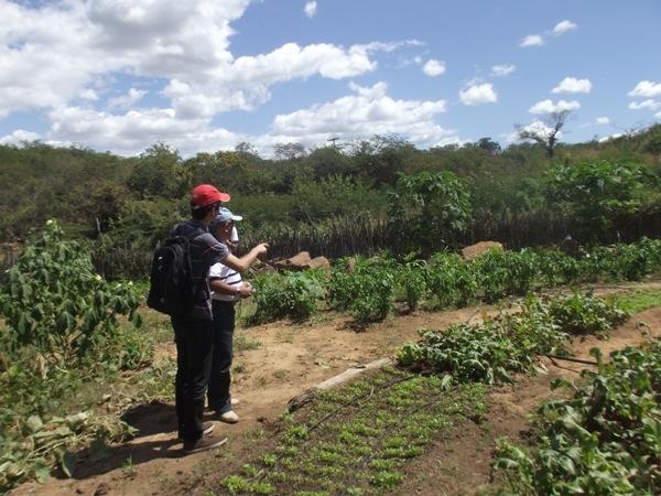 Training do SEBRAE visitam Projeto PAIS em Santa Rosa do Piauí - Imagem 3