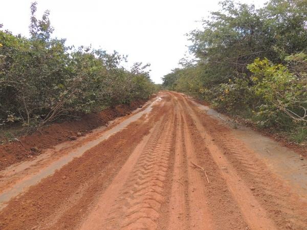 Prefeitura reforma estrada da Lagoa do Sucuruju - Imagem 9