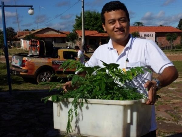 Prefeitura distribui mudas nativas na comunidade Vitória - Imagem 1