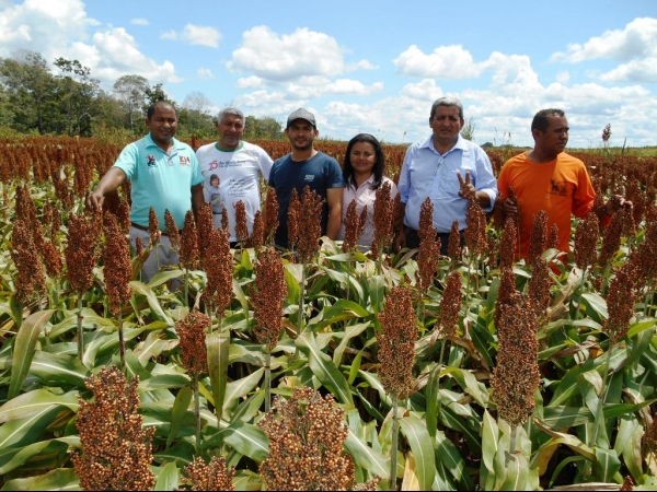 Começa a colheita da Soja boahorense - Imagem 8