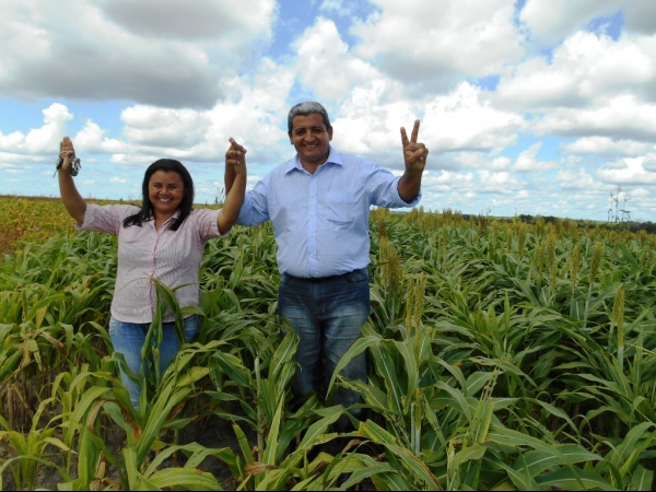 Começa a colheita da Soja boahorense - Imagem 20