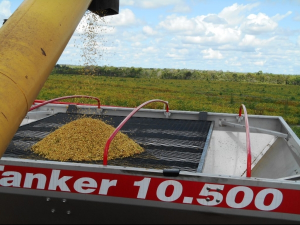 Começa a colheita da Soja boahorense - Imagem 23