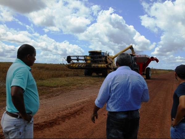 Começa a colheita da Soja boahorense - Imagem 28
