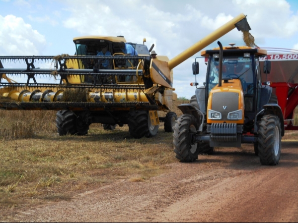 Começa a colheita da Soja boahorense - Imagem 29