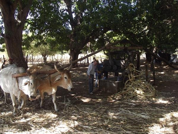 Especial Dom Expedito Lopes (parte 2) “Conhecendo Del” - Imagem 27