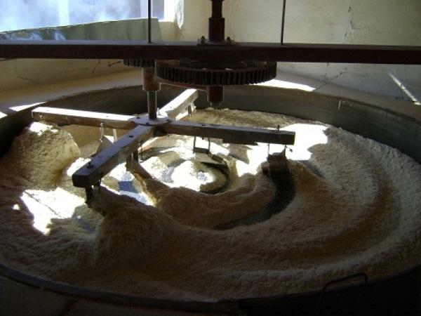 Especial Dom Expedito Lopes (parte 2) “Conhecendo Del” - Imagem 2