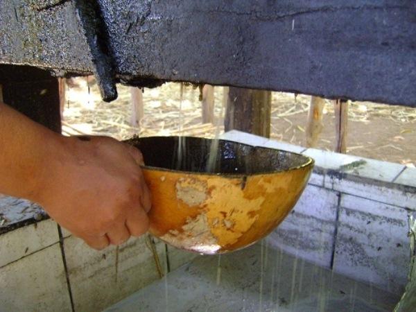 Especial Dom Expedito Lopes (parte 2) “Conhecendo Del” - Imagem 31