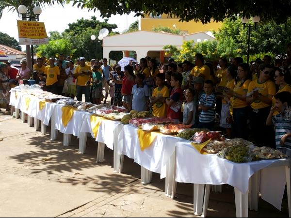 Campanha Dengue 2014 no Município de Caracol - Imagem 3