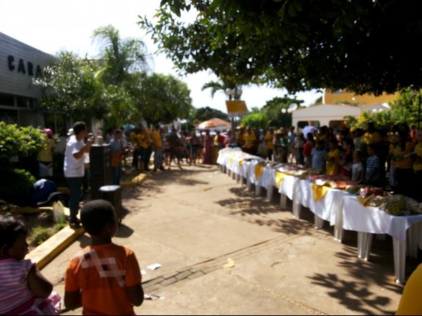 Campanha Dengue 2014 no Município de Caracol - Imagem 2