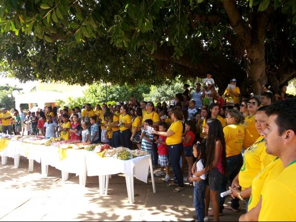 Campanha Dengue 2014 no Município de Caracol - Imagem 1