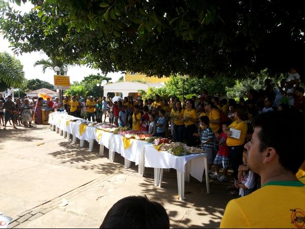 Campanha Dengue 2014 no Município de Caracol - Imagem 5