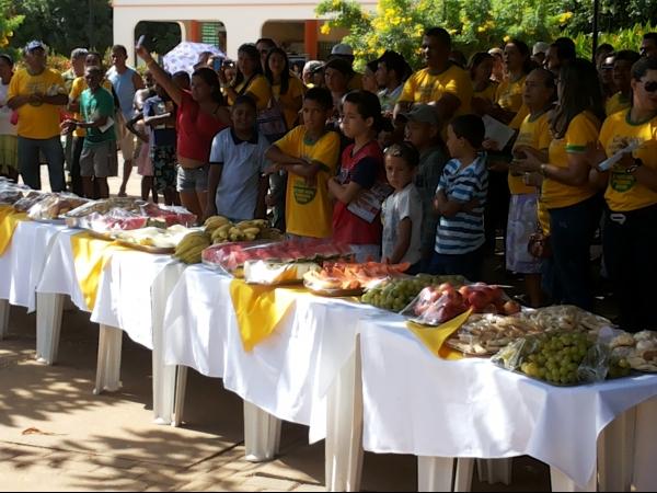 Campanha Dengue 2014 no Município de Caracol - Imagem 4