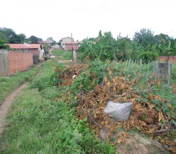 Cansada de esperar providências da Prefeitura, mulher decide roçar rua onde mora  - Imagem 2