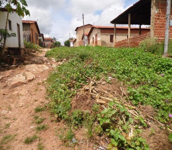 Cansada de esperar providências da Prefeitura, mulher decide roçar rua onde mora  - Imagem 10