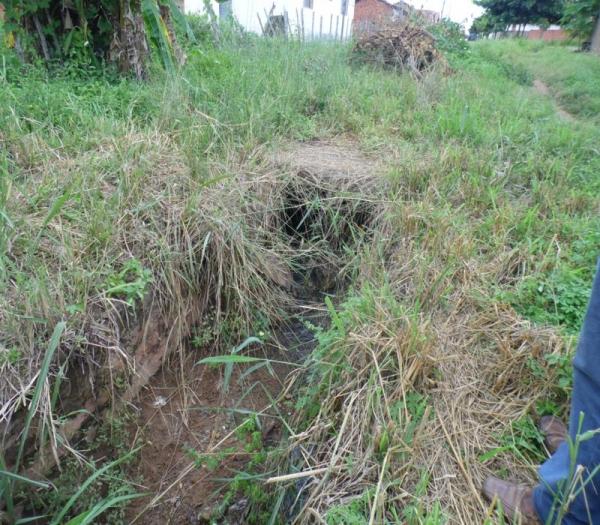 Cansada de esperar providências da Prefeitura, mulher decide roçar rua onde mora  - Imagem 5