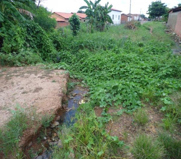 Cansada de esperar providências da Prefeitura, mulher decide roçar rua onde mora  - Imagem 6