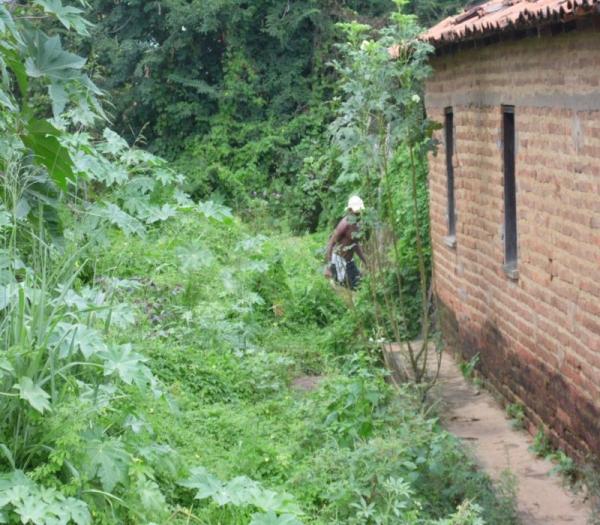 Cansada de esperar providências da Prefeitura, mulher decide roçar rua onde mora  - Imagem 8