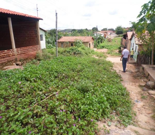 Cansada de esperar providências da Prefeitura, mulher decide roçar rua onde mora  - Imagem 11