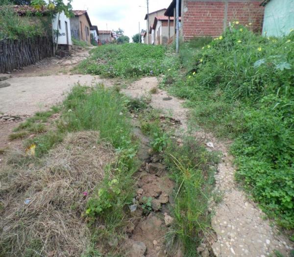 Cansada de esperar providências da Prefeitura, mulher decide roçar rua onde mora  - Imagem 7