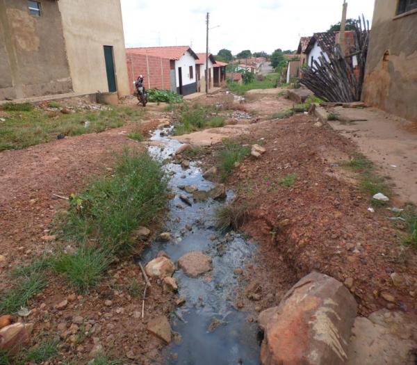 Cansada de esperar providências da Prefeitura, mulher decide roçar rua onde mora  - Imagem 14
