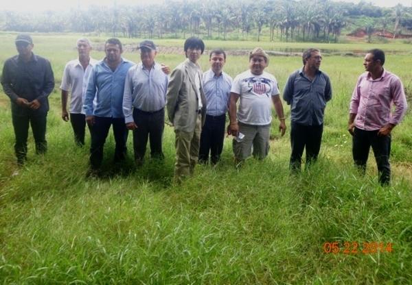 Cônsul Japonês visitou o município de Batalha e teve encontro com prefeitos e piscicultores da região†- Imagem 26