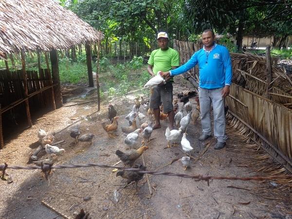 Secretário de Agricultura acompanha projeto de criação de galinhas - Imagem 3