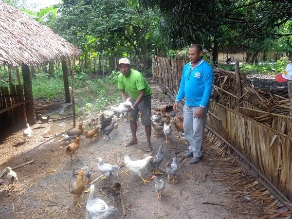 Secretário de Agricultura acompanha projeto de criação de galinhas - Imagem 1