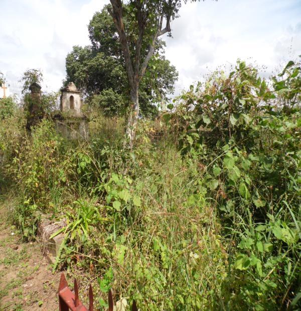 Matagal assusta! Cemitério da Lagoa de Fora tomado pelo mato - Imagem 8