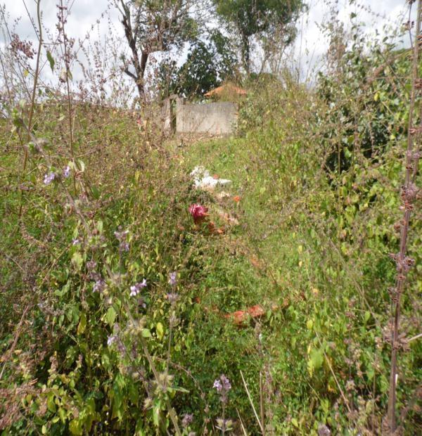 Matagal assusta! Cemitério da Lagoa de Fora tomado pelo mato - Imagem 14