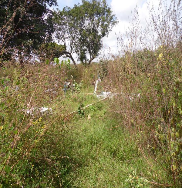 Matagal assusta! Cemitério da Lagoa de Fora tomado pelo mato - Imagem 10
