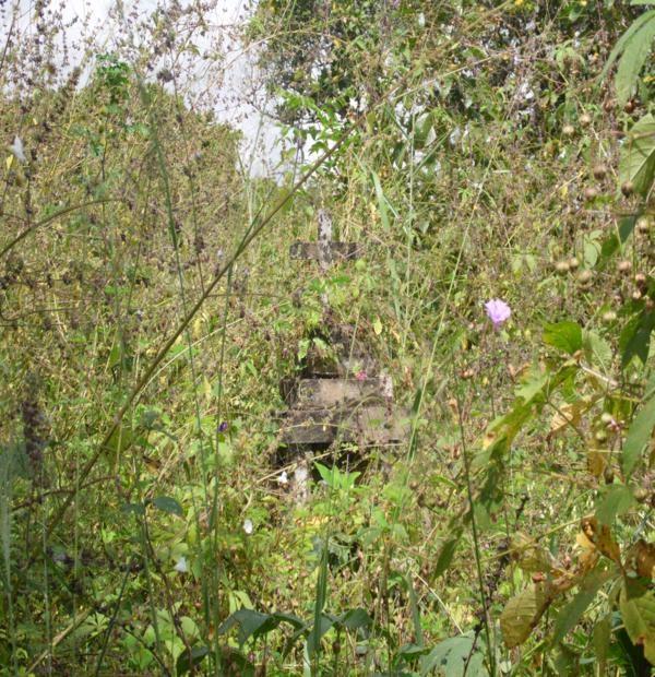 Matagal assusta! Cemitério da Lagoa de Fora tomado pelo mato - Imagem 7