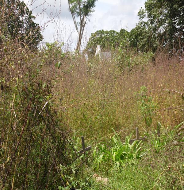 Matagal assusta! Cemitério da Lagoa de Fora tomado pelo mato - Imagem 11