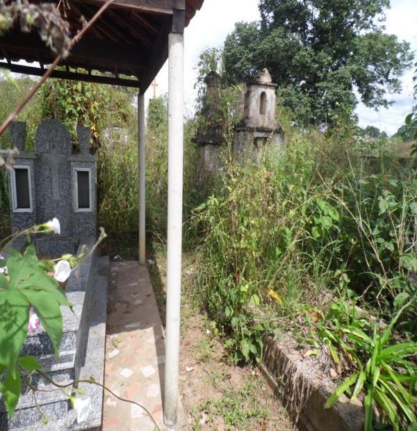 Matagal assusta! Cemitério da Lagoa de Fora tomado pelo mato - Imagem 1