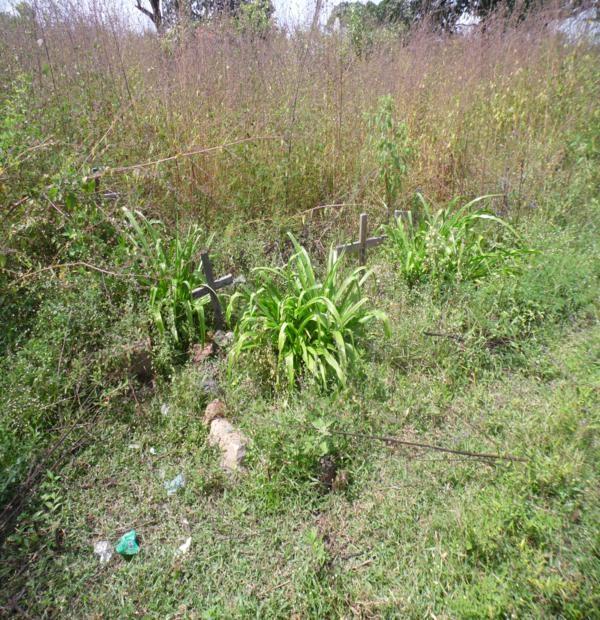 Matagal assusta! Cemitério da Lagoa de Fora tomado pelo mato - Imagem 9