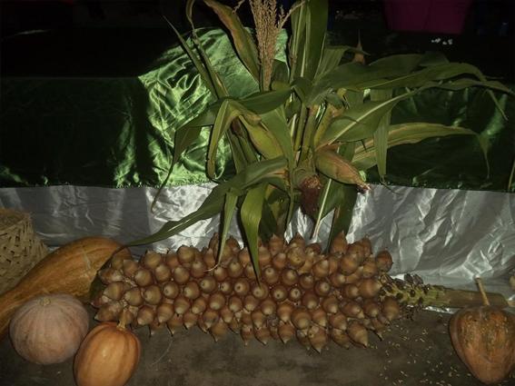 Sindicato realiza sua I Festa em prol dos Trabalhadores Rurais de São Félix do Piauí - Imagem 3