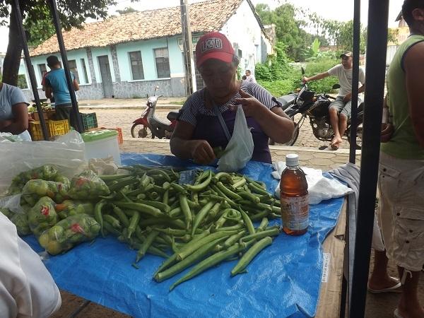 Vice-prefeito Raimundo do PT e Primeira dama Clarissa Lira, visitaram a Feira Livre - Imagem 7